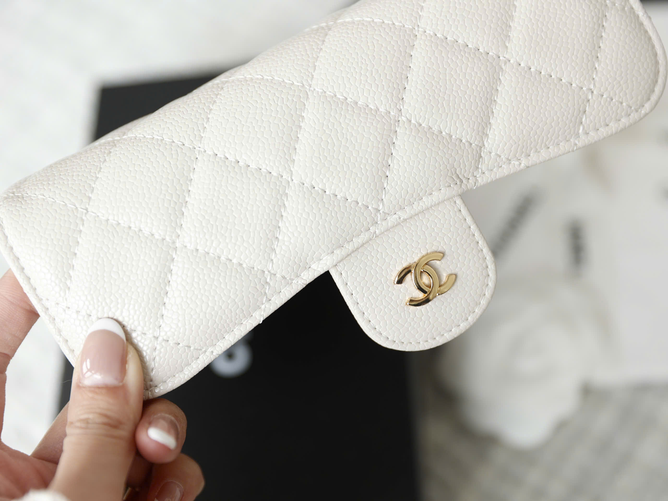 Premium Ivory Grained Quilted Flap Wallet - Image 7